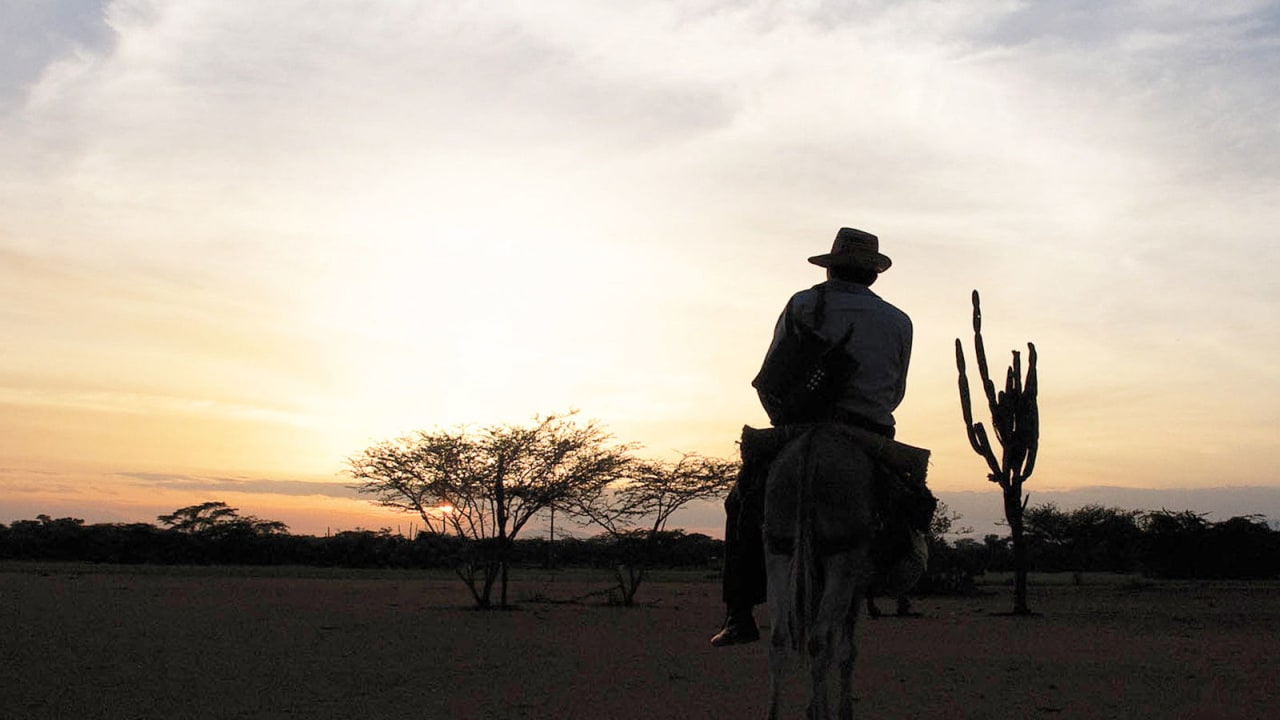 Fotograma de Los viajes del viento (2010)