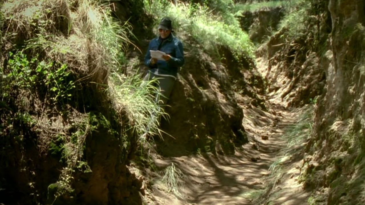 Fotograma de Sin título (Carta para Serra) (2011)