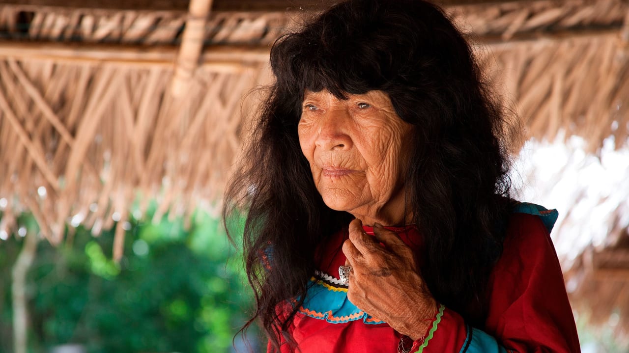 Fotograma de Ícaros (2014)