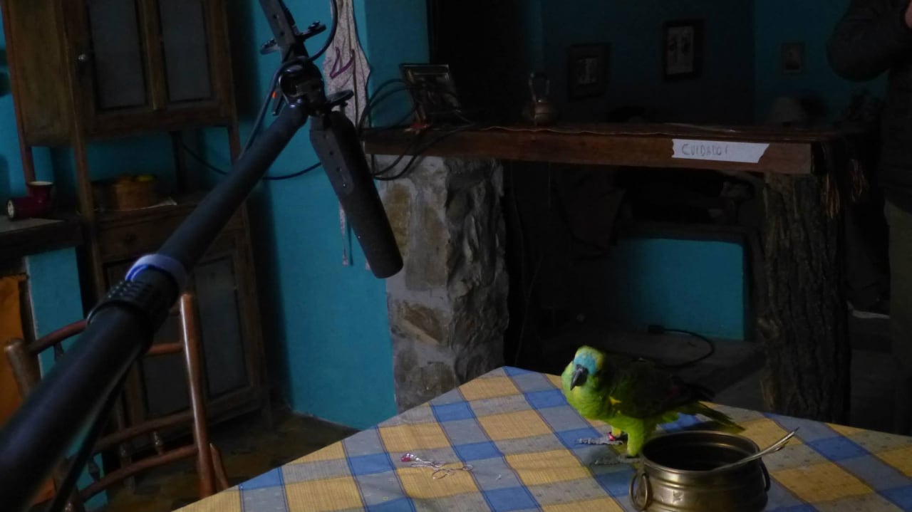 Fotograma de Mi mamá lora (2017)