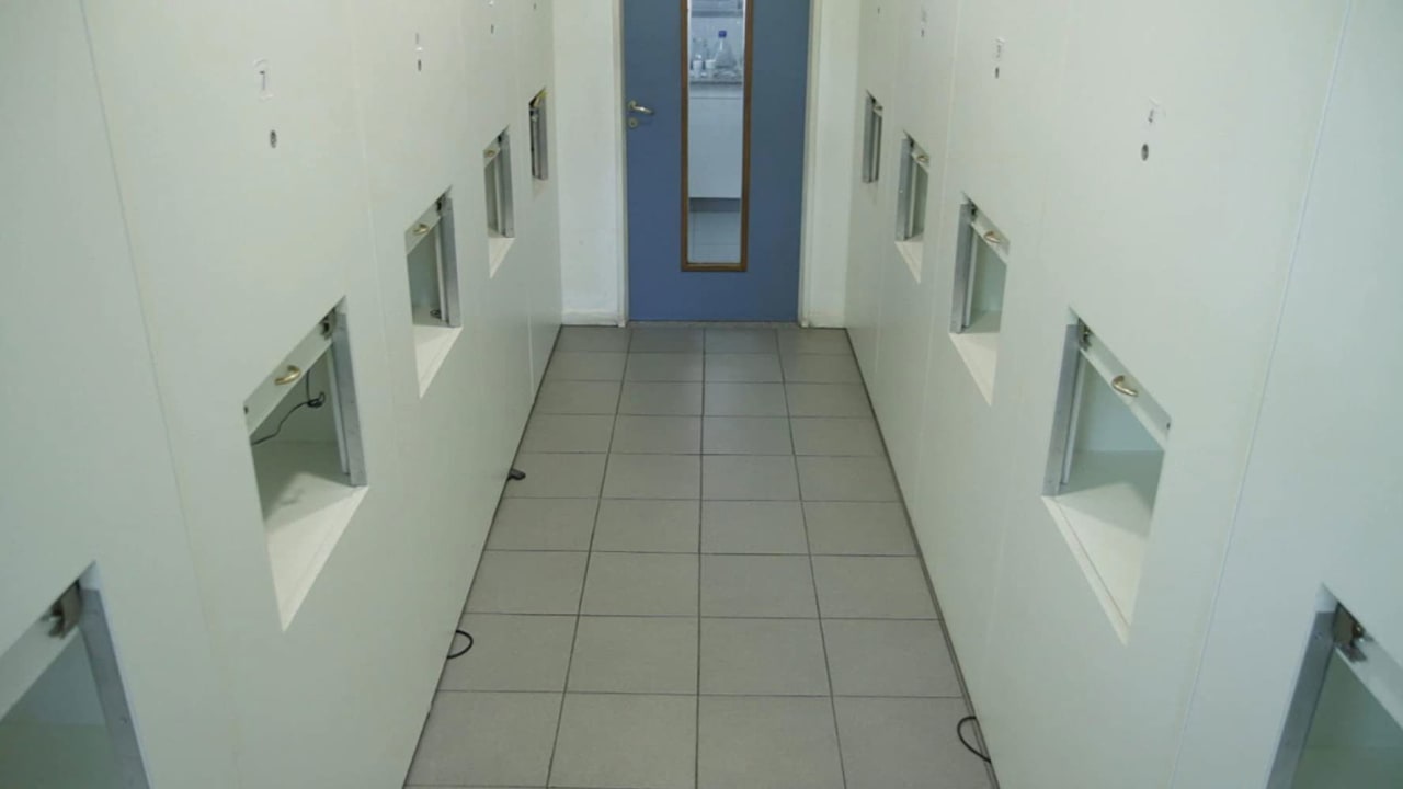 Fotograma de El panelista (2019)