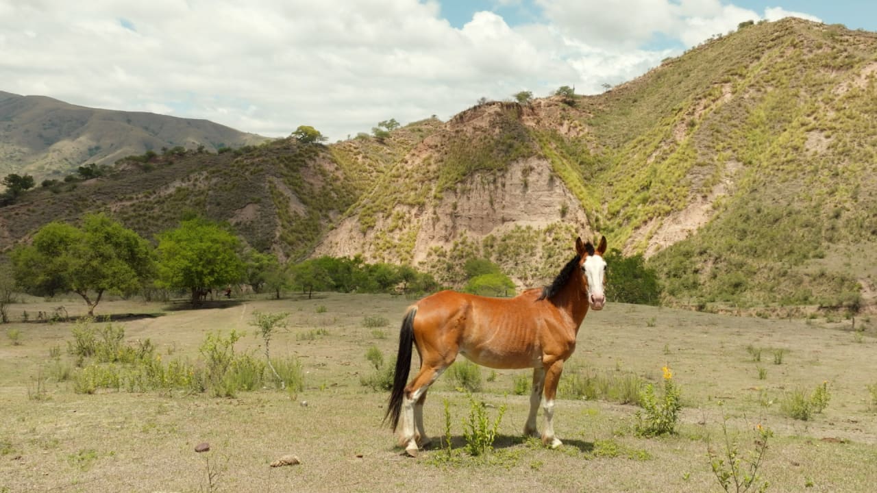 Fotograma de Nuestra tierra (2026)
