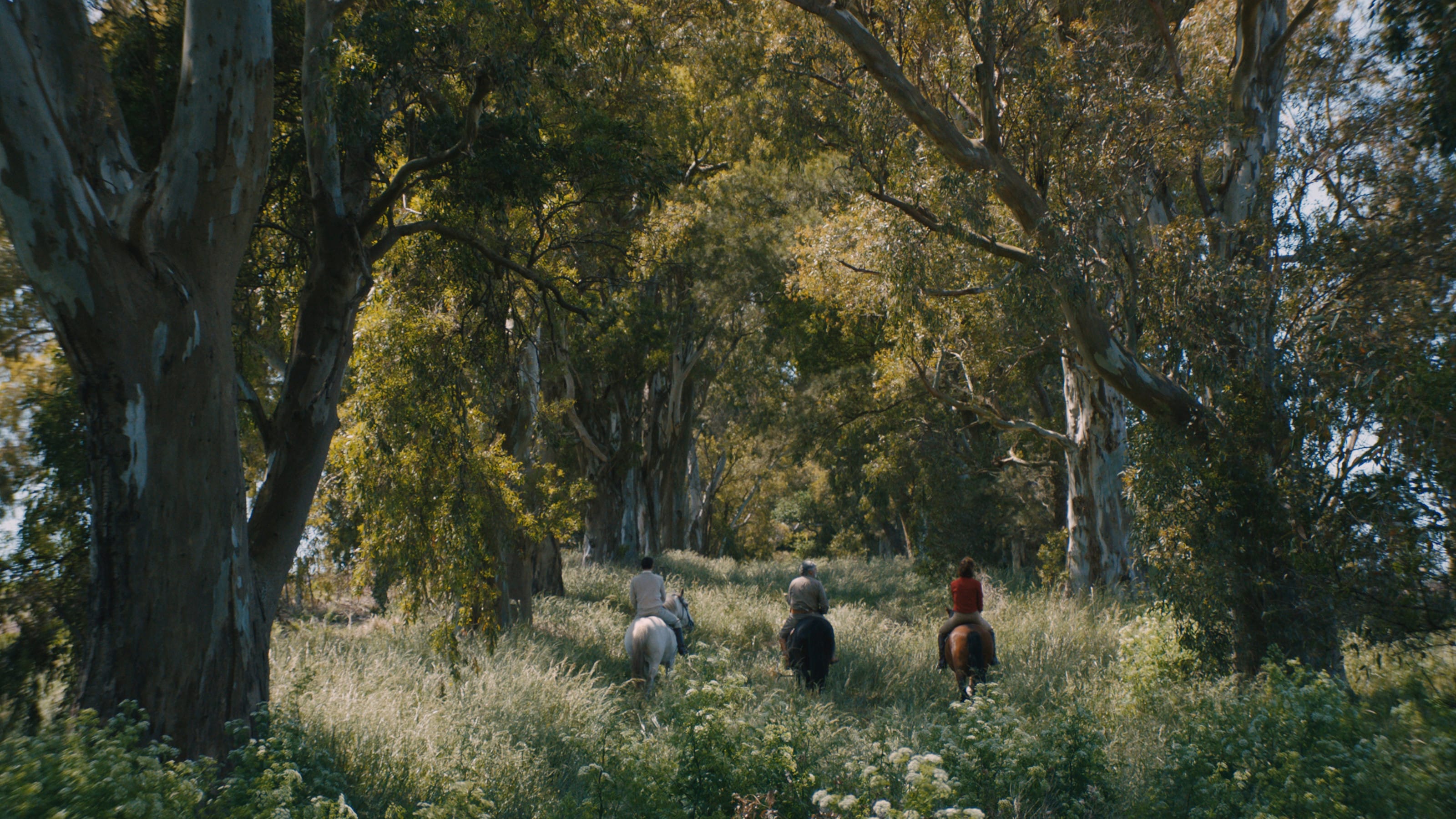 Fotograma de Azor (2022)