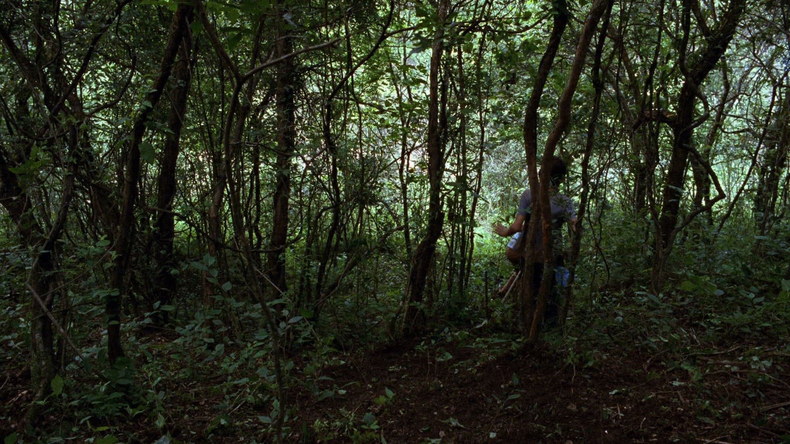 Fotograma de La ciénaga (2001)