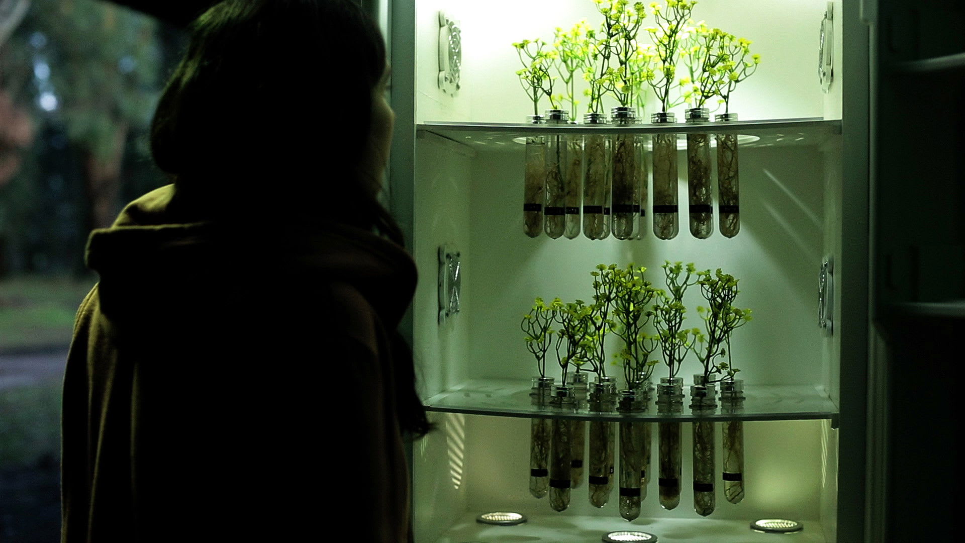 Laura Paredes en Trenque Lauquen – Parte 1 (2023)