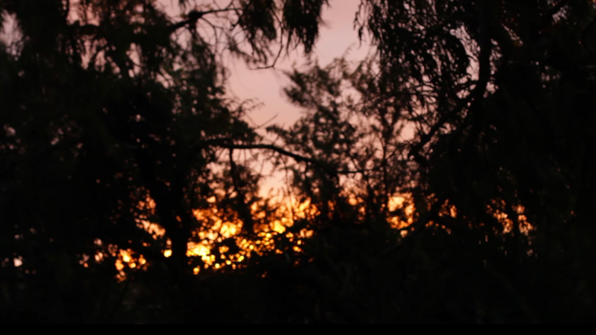 Fotograma de Soñando Martín (2022)