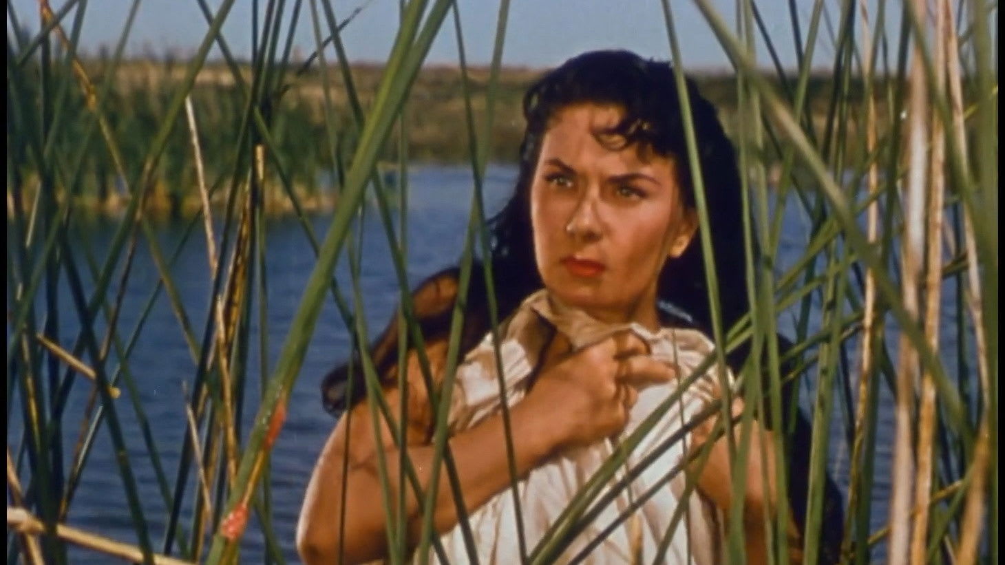 Fotograma de El último perro (1956)