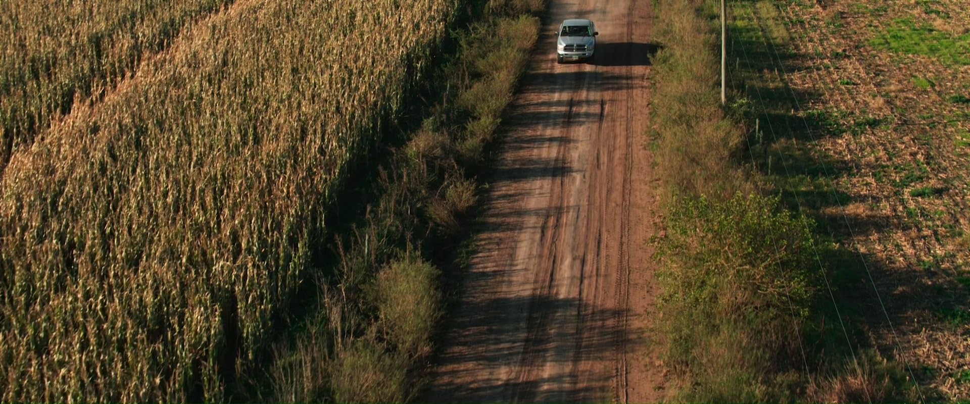 Fotograma de Cuando acecha la maldad (2023)