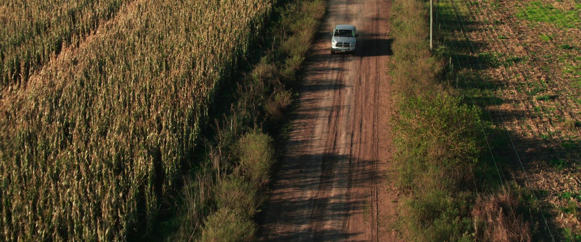 Fotograma de Cuando acecha la maldad (2023)