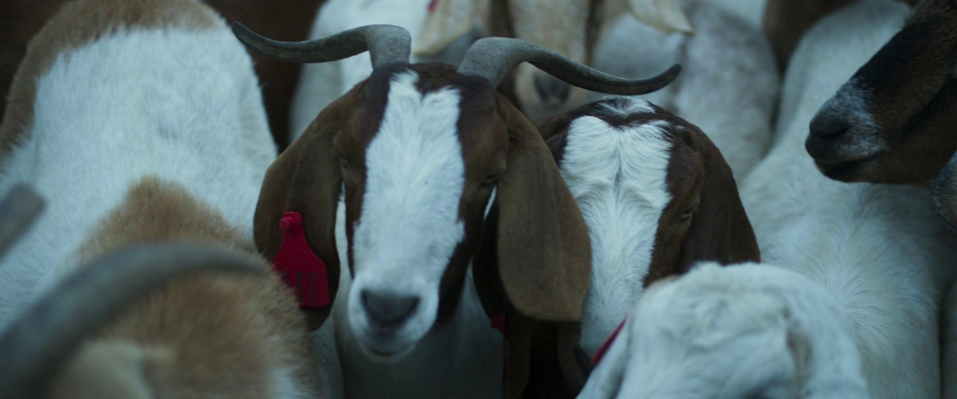 Fotograma de Cuando acecha la maldad (2023)