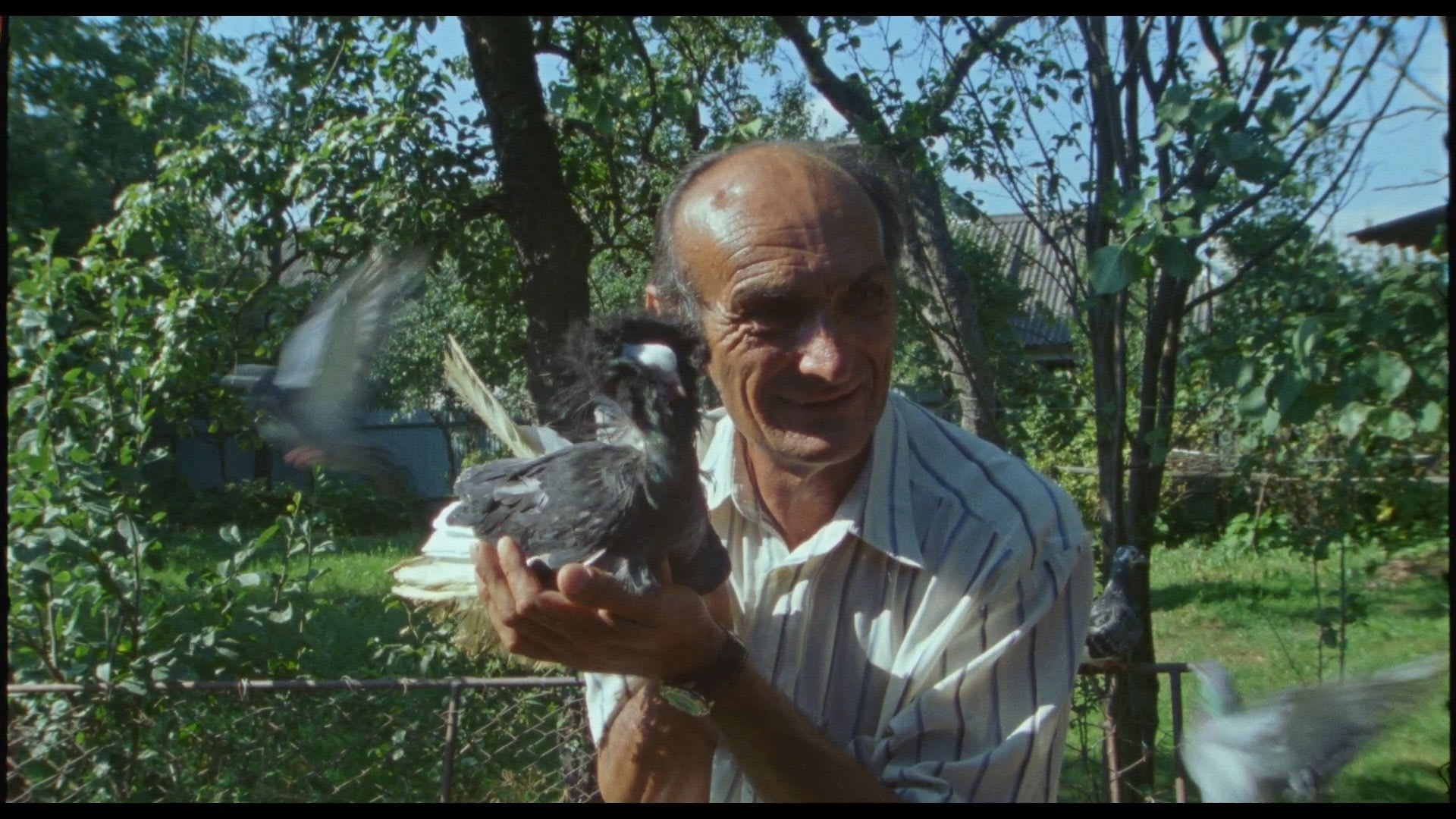 Fotograma de Adentro mío estoy bailando (2024)