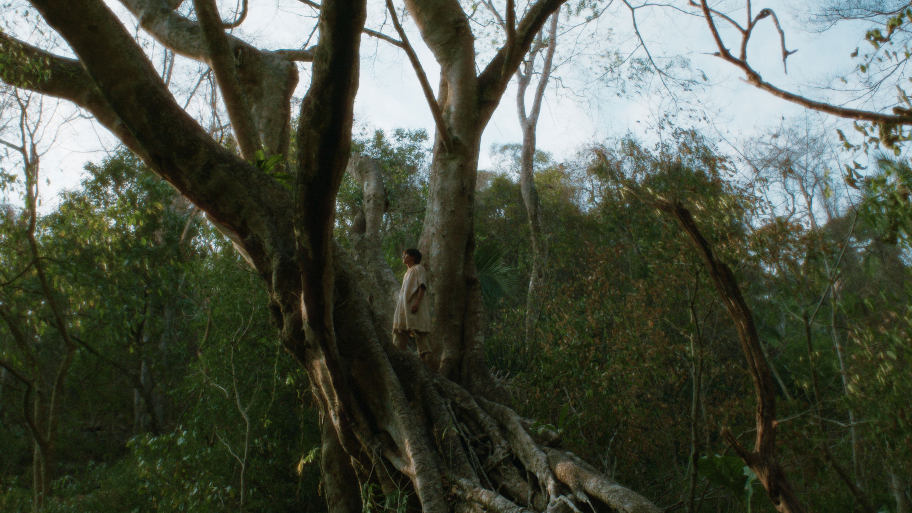 Fotograma de Eureka (2024)