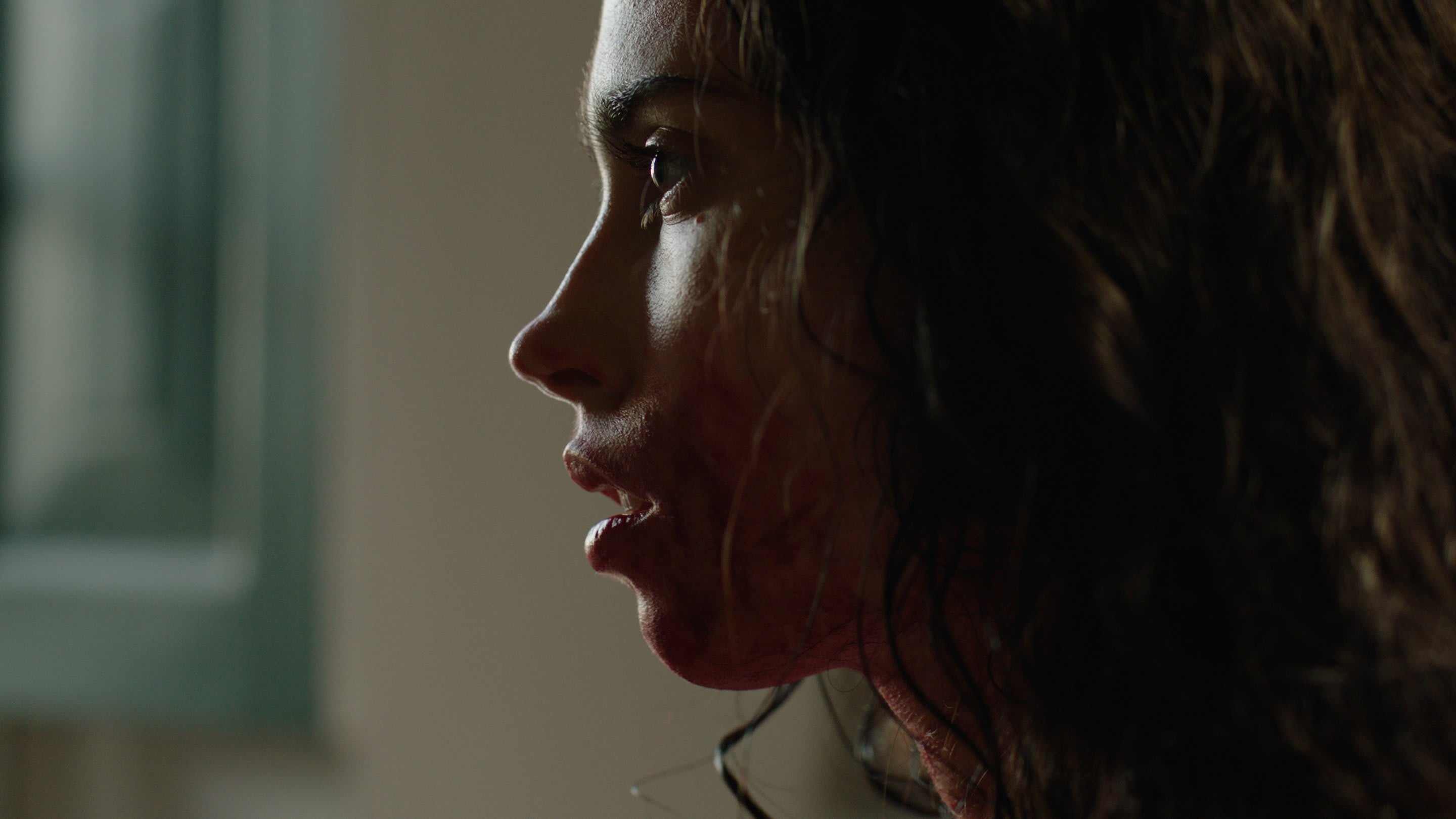 Fotograma de Continente (2024)