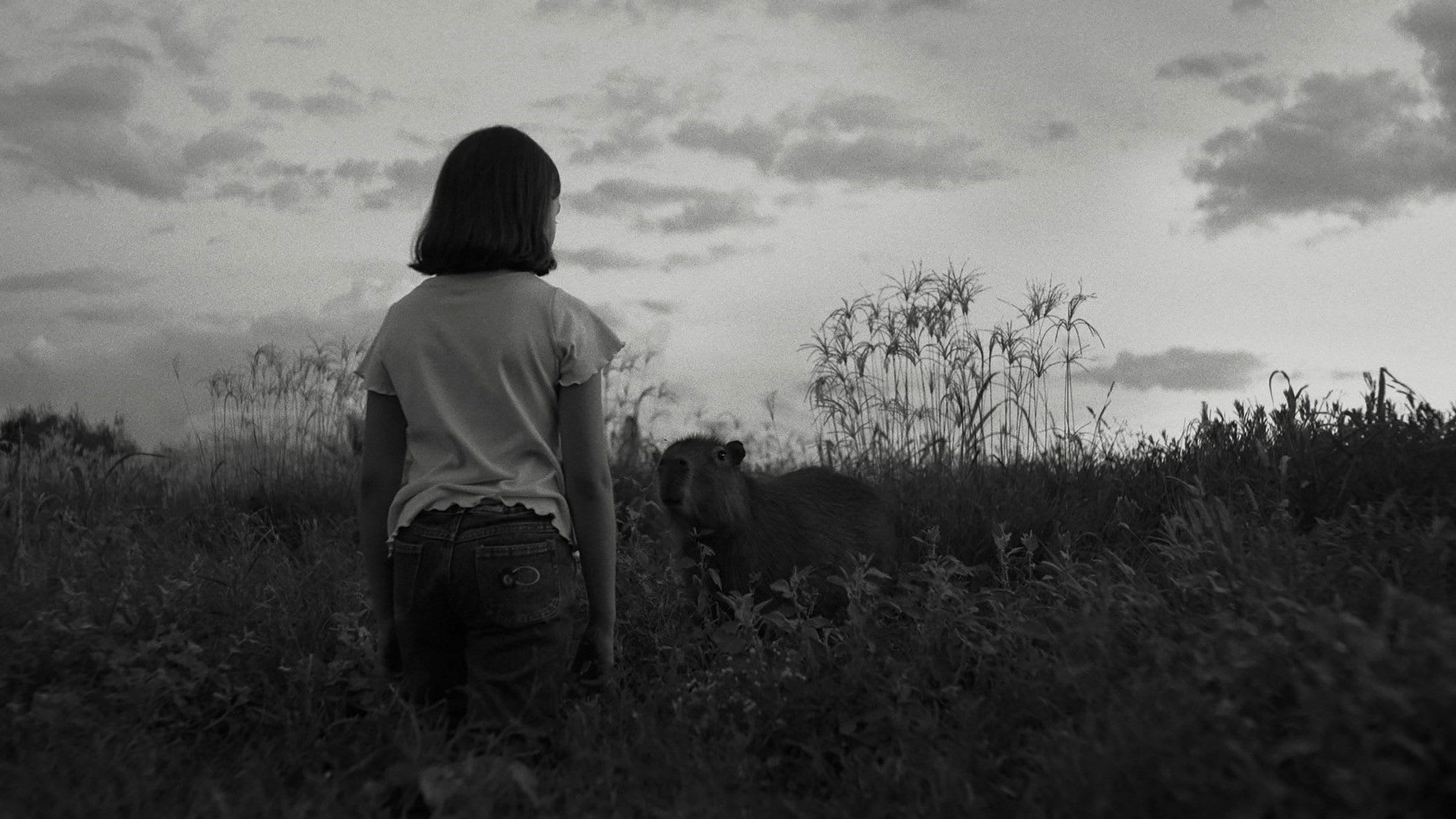 Fotograma de El mensaje (2025)