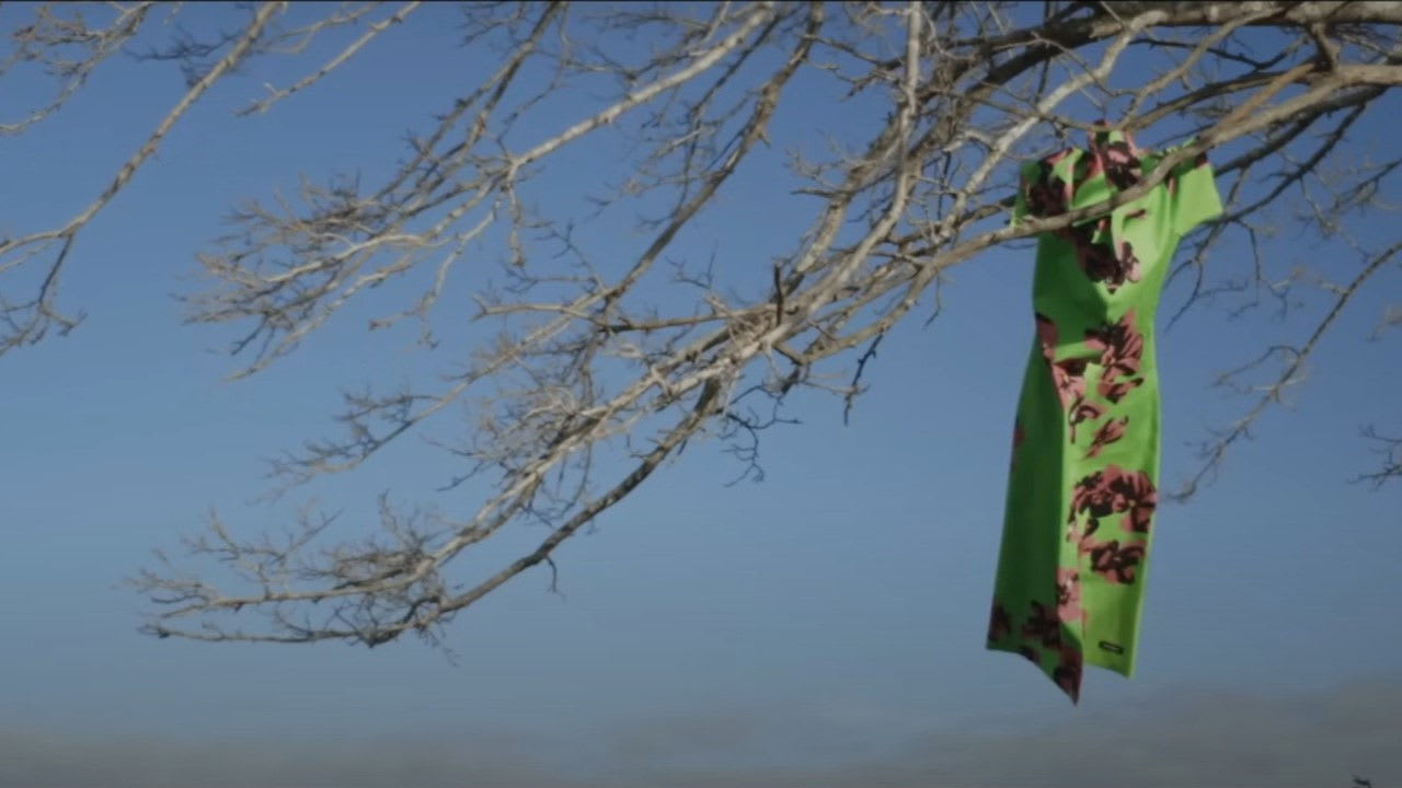 Fotograma de El Affaire Miu Miu (2024)