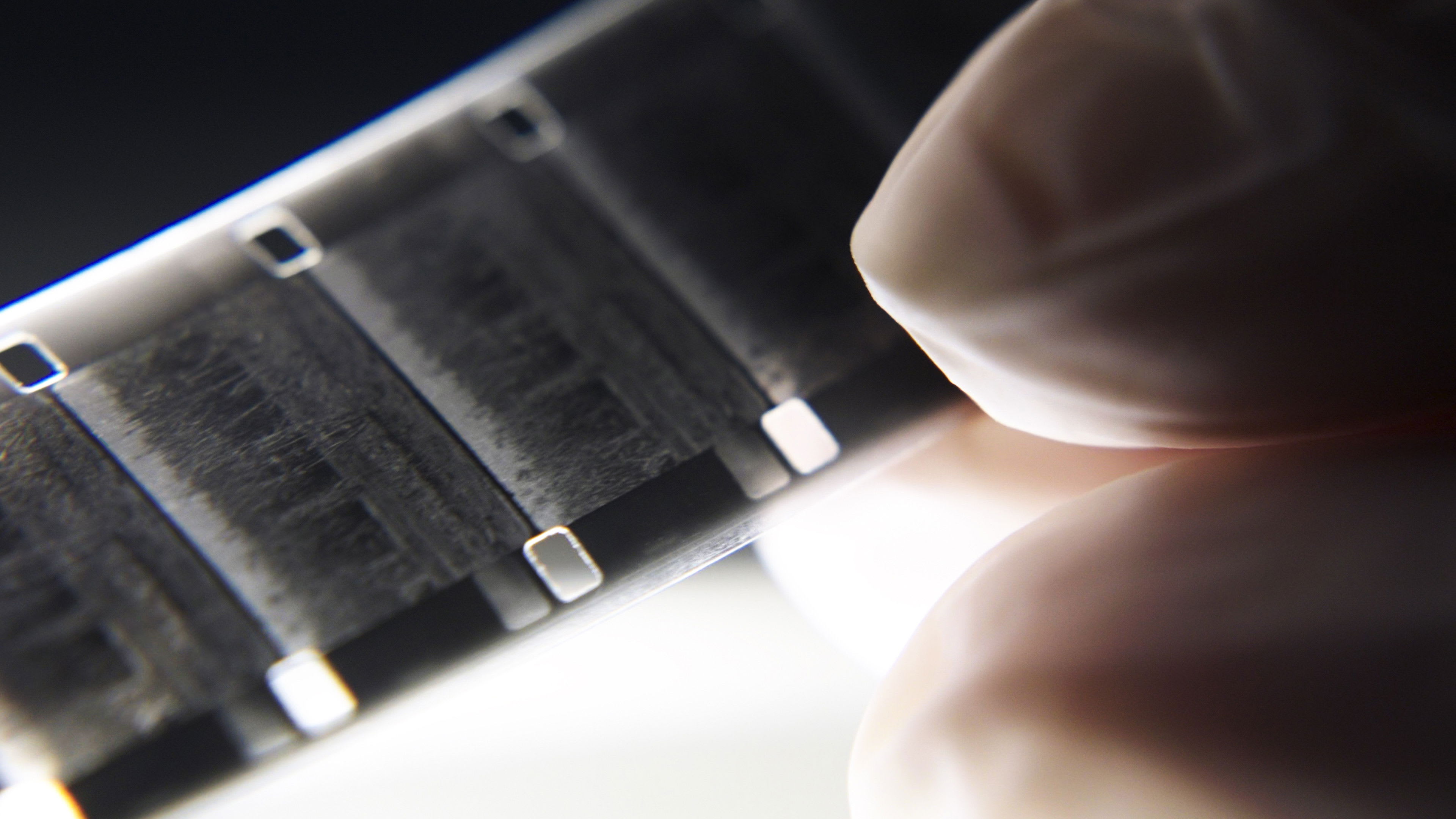 Fotograma de Luz Mala (2024)