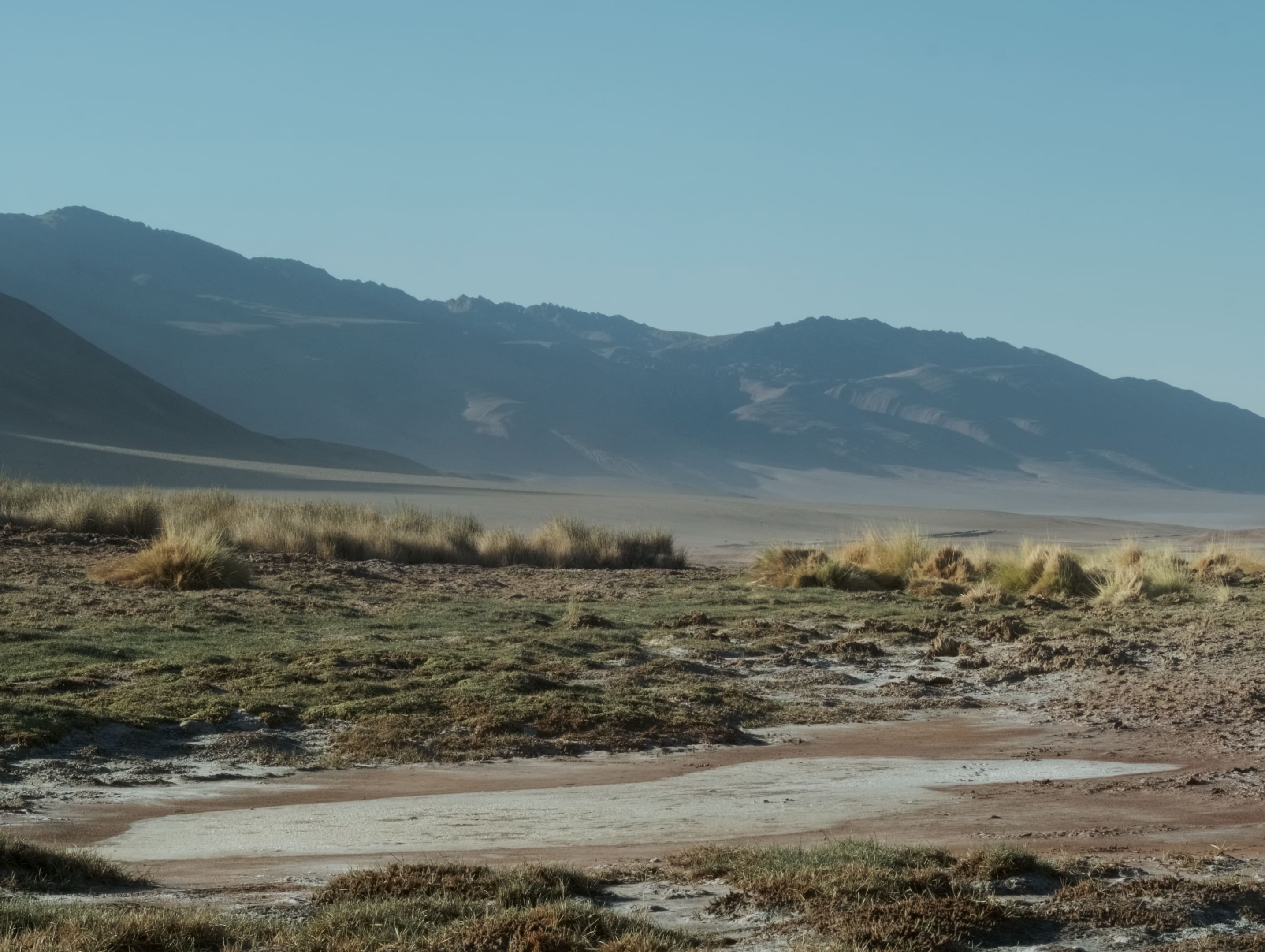 Fotograma de Los niños (2026)