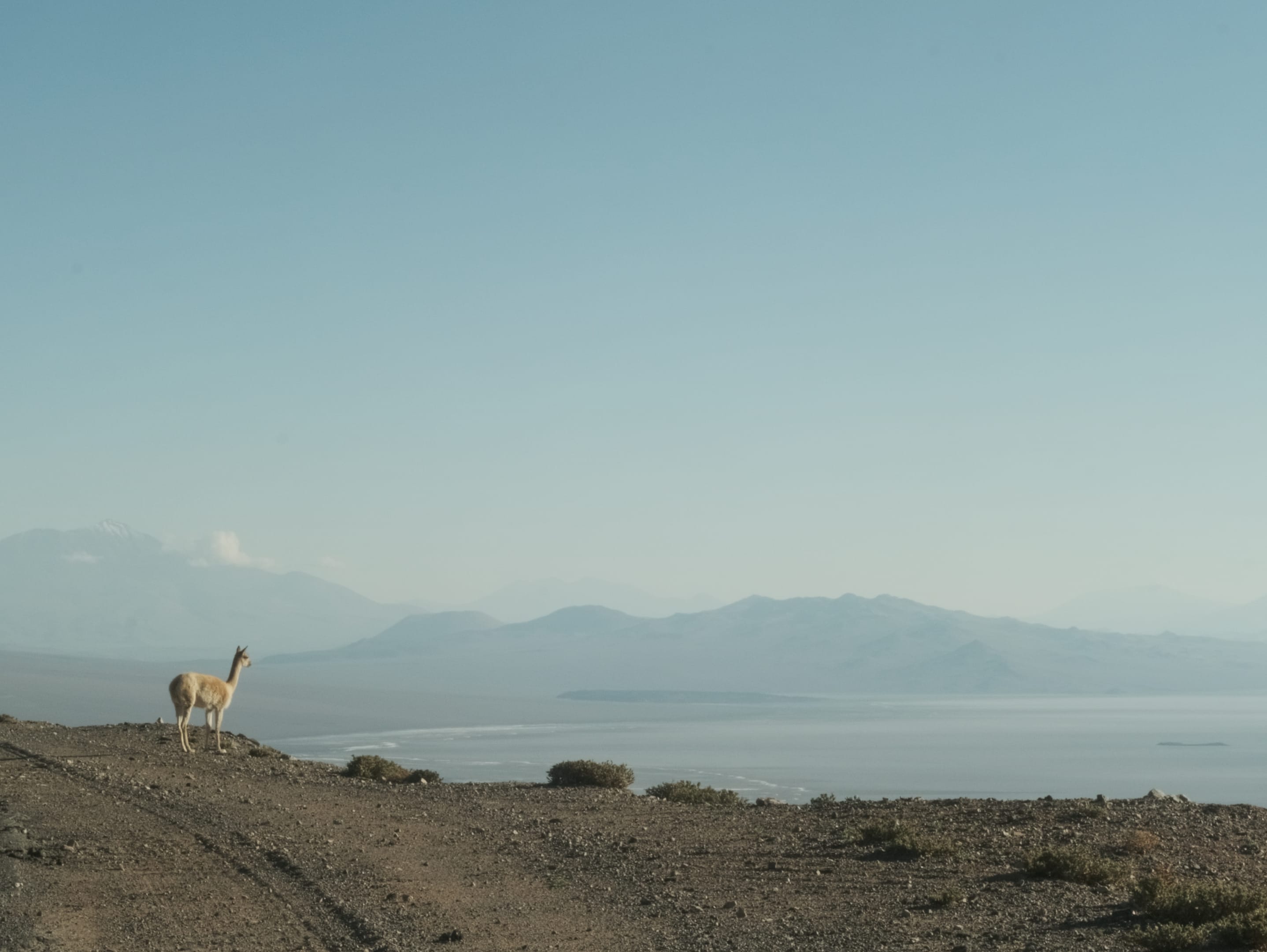 Fotograma de Los niños (2026)