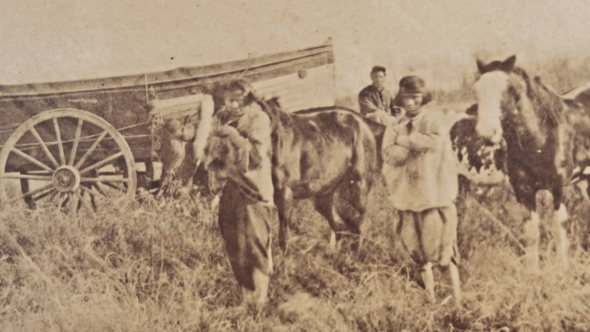 Fotograma de Bosque arriba en la montaña (2026)