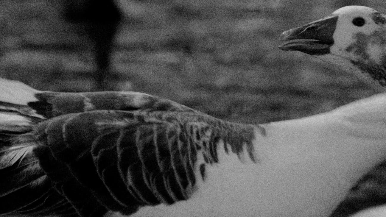 Fotograma de Planetario (2025)