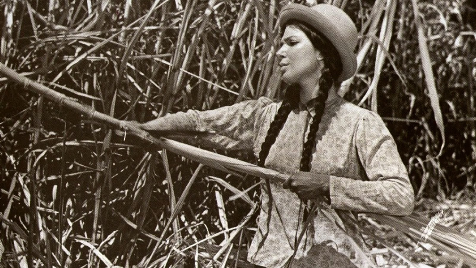 Fotograma de Zafra (1959)