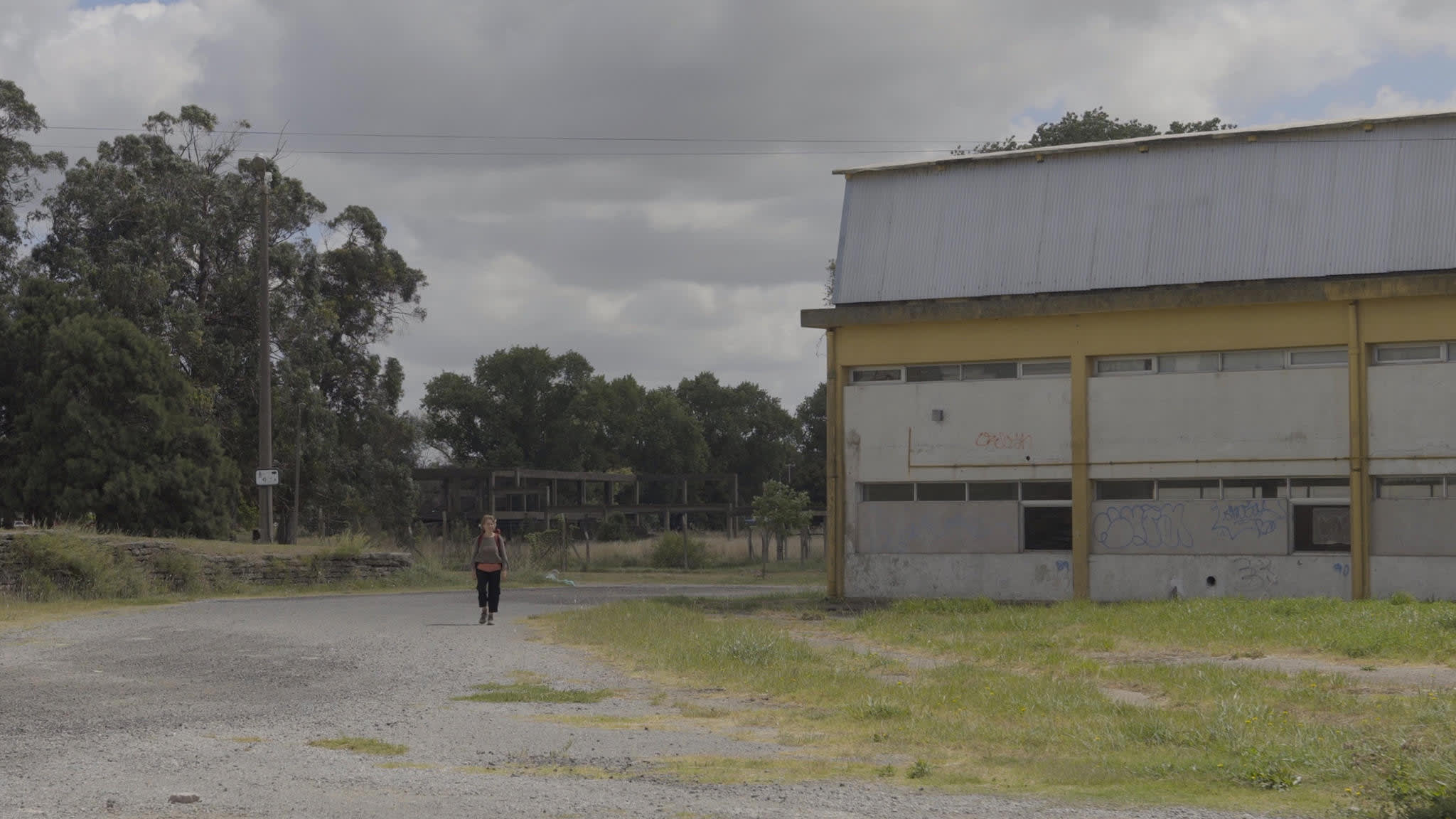 Fotograma de Ofrenda (2020)