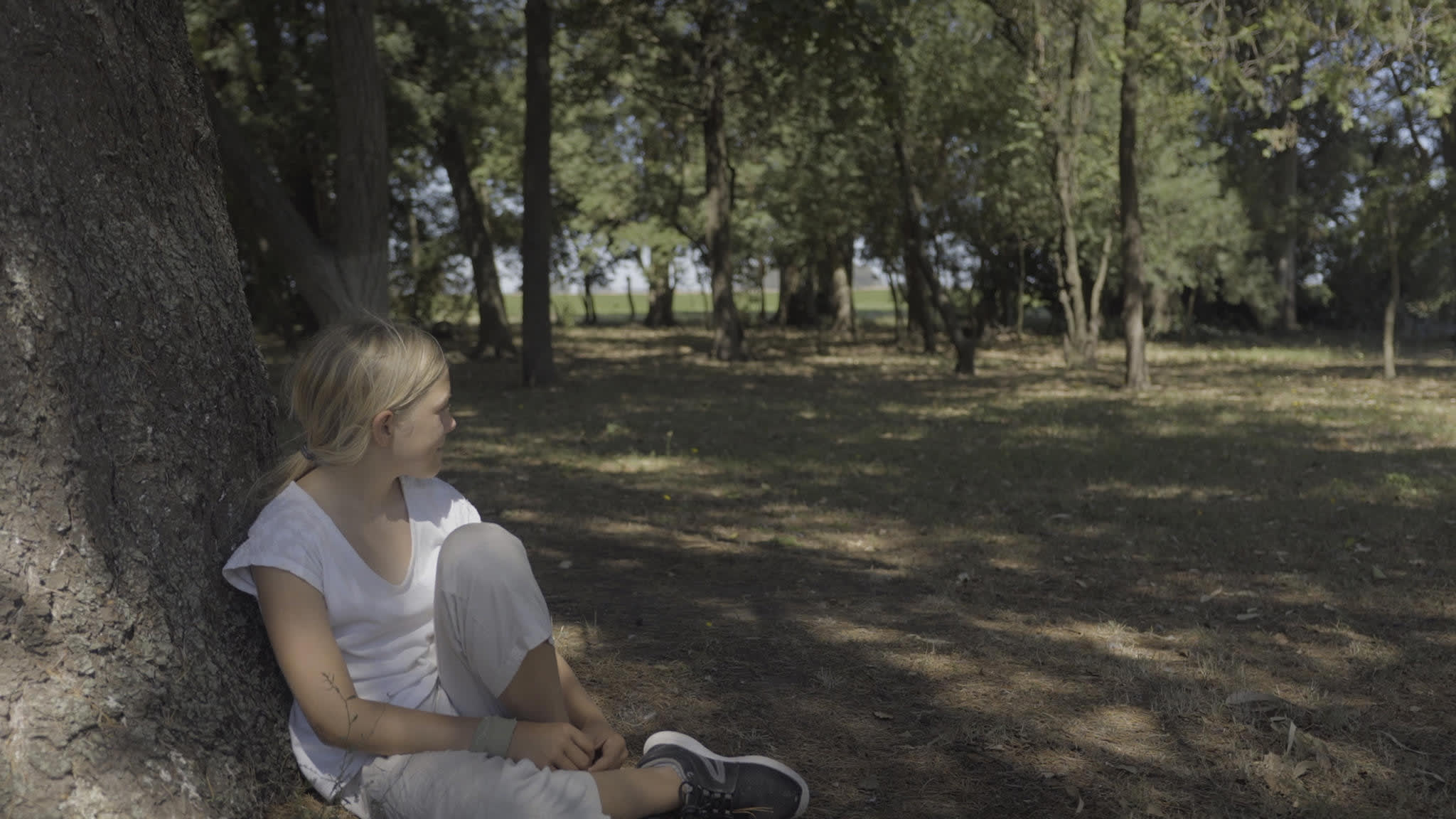 Fotograma de Ofrenda (2020)