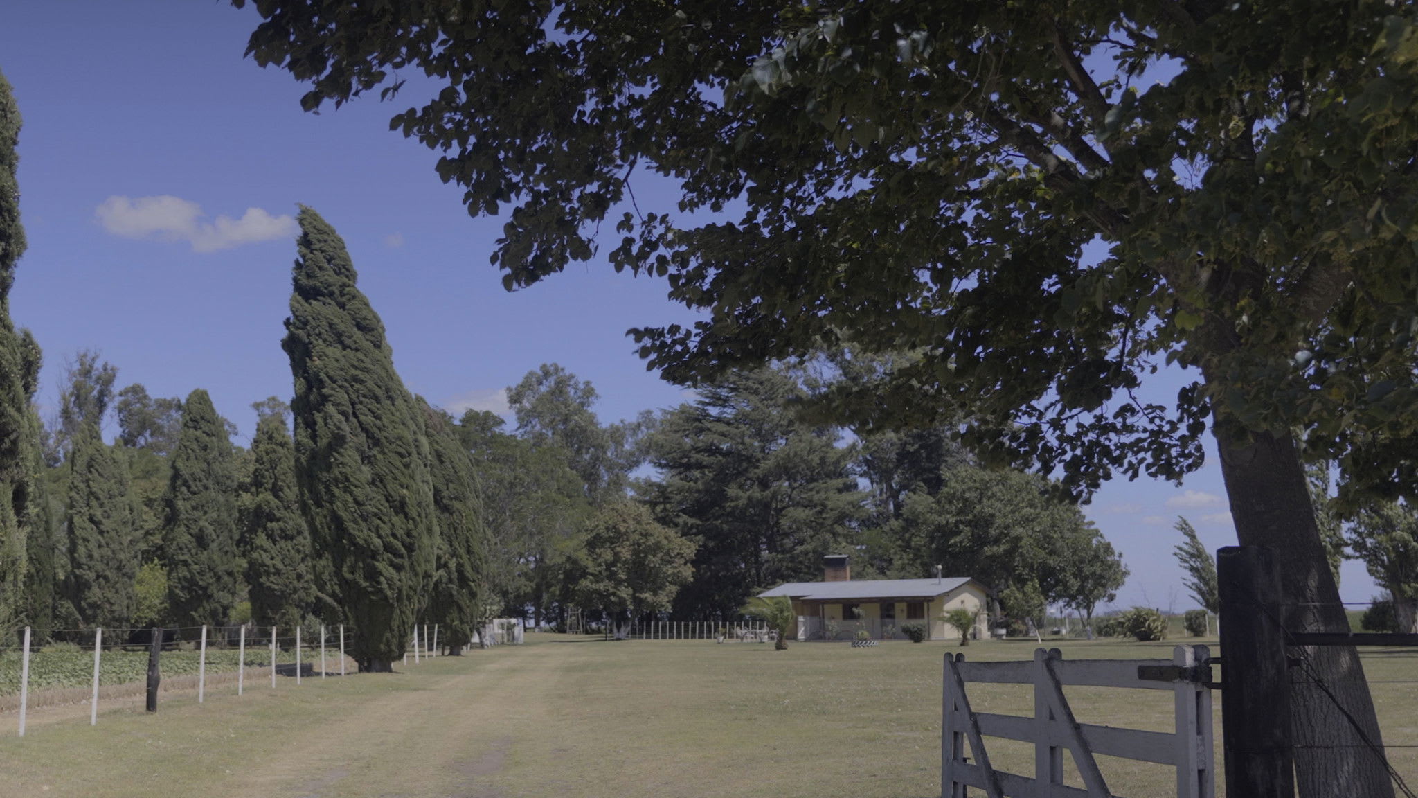 Fotograma de Ofrenda (2020)