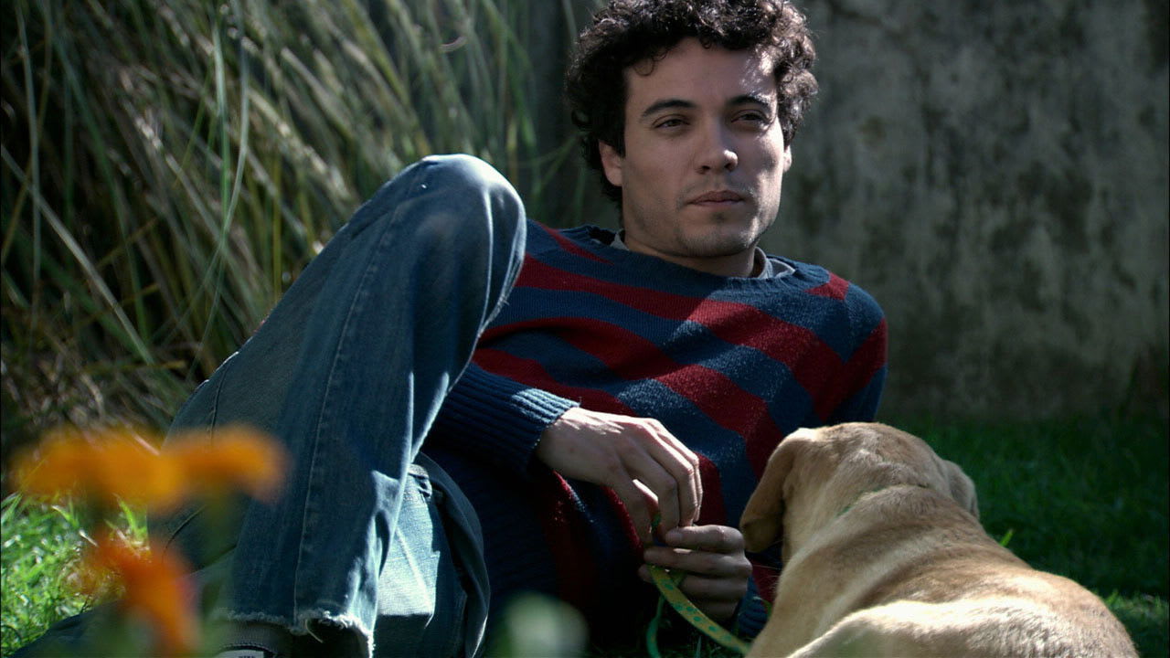 Fotograma de El cuarto de Leo (2012)