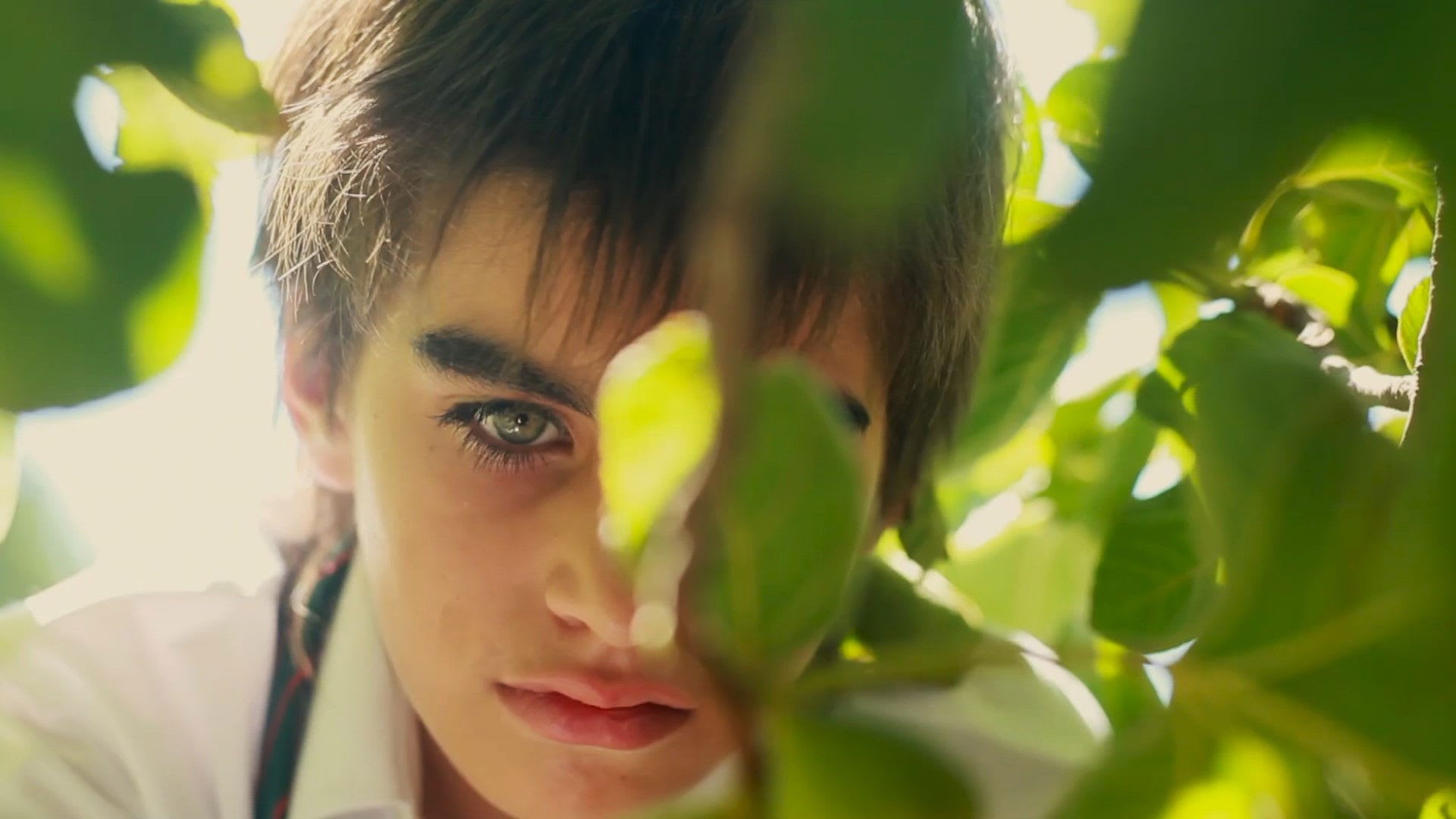 Fotograma de Vuelve (2012)