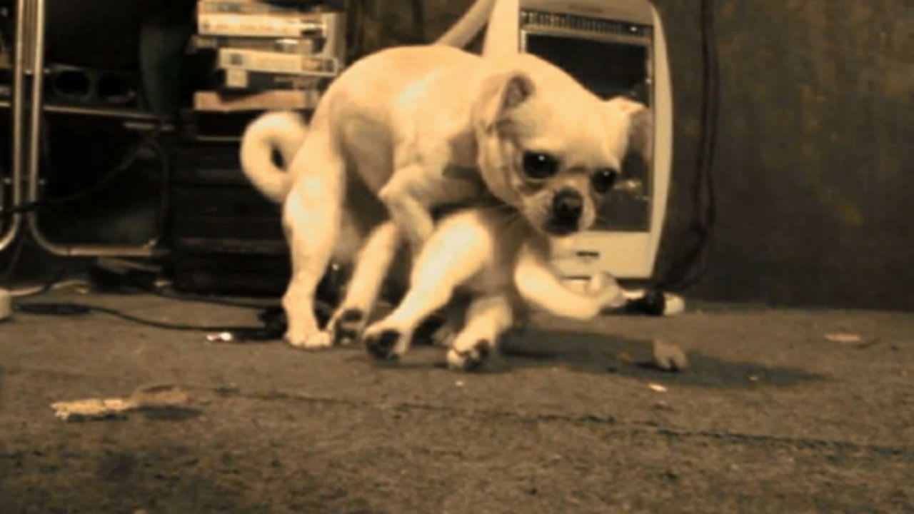 Fotograma de El mate amargo