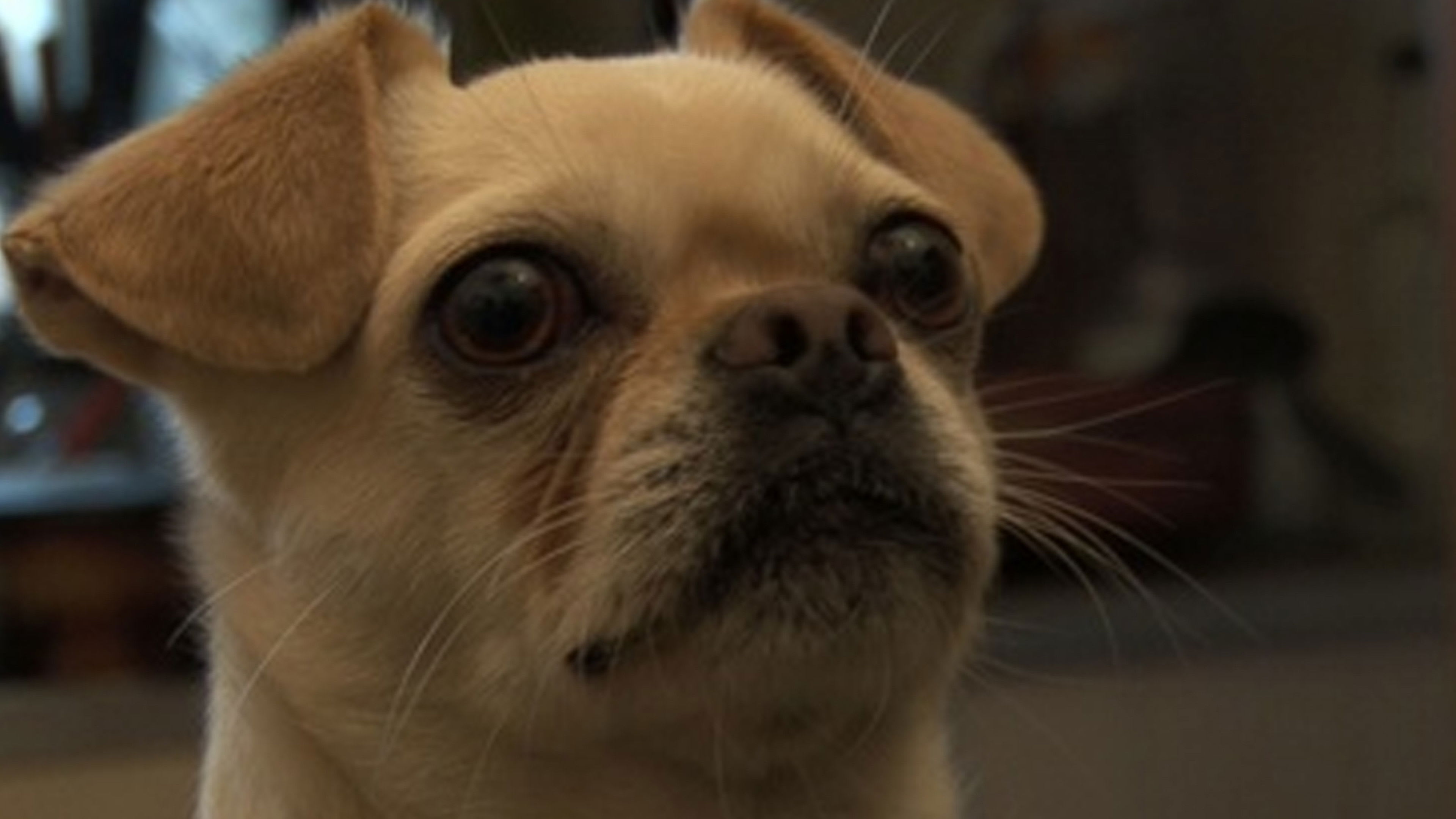 Fotograma de El mate amargo