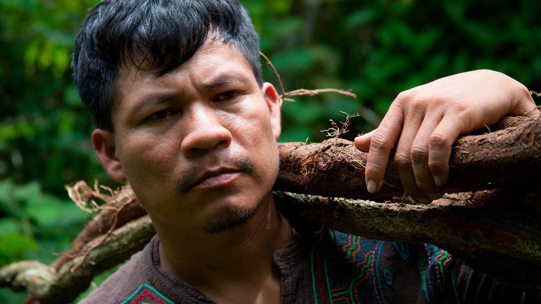 Fotograma de Ícaros (2014)