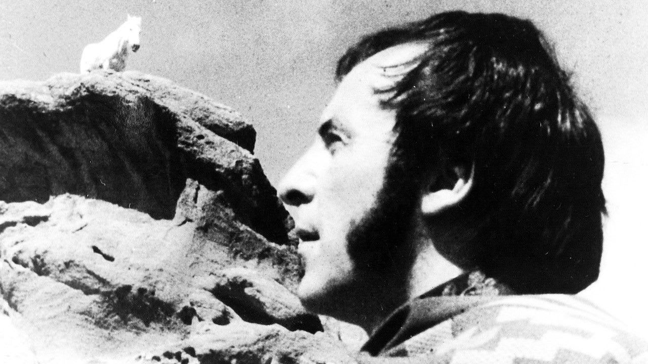 Fotograma de El general y la fiebre (1993)