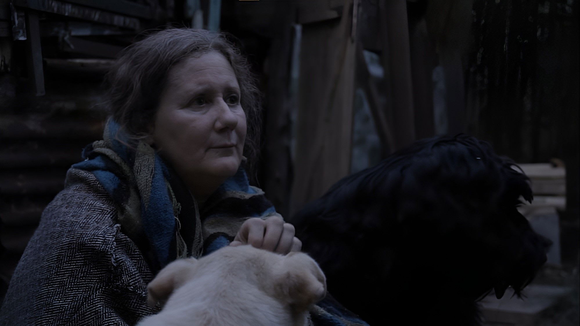 Fotograma de La mujer de los perros (2015)