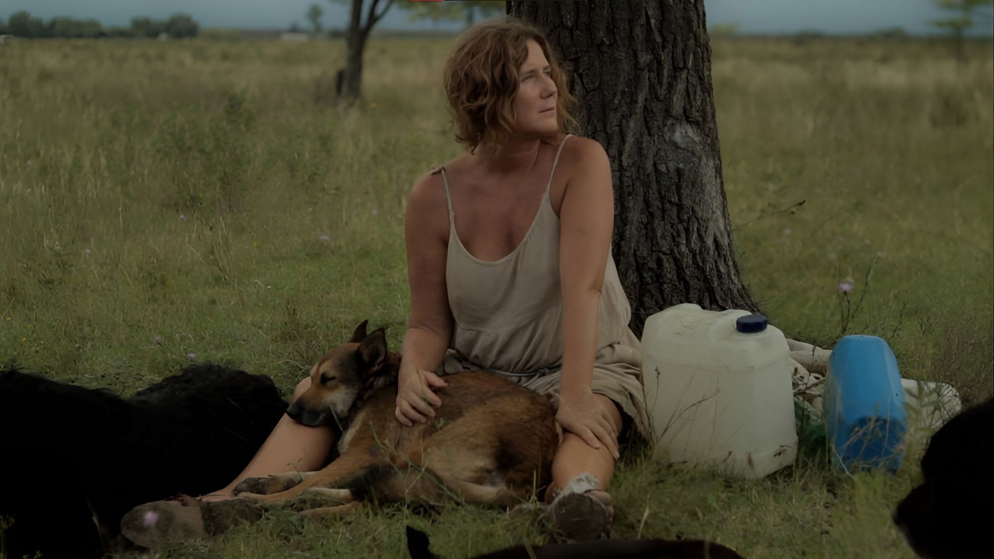 Fotograma de La mujer de los perros (2015)