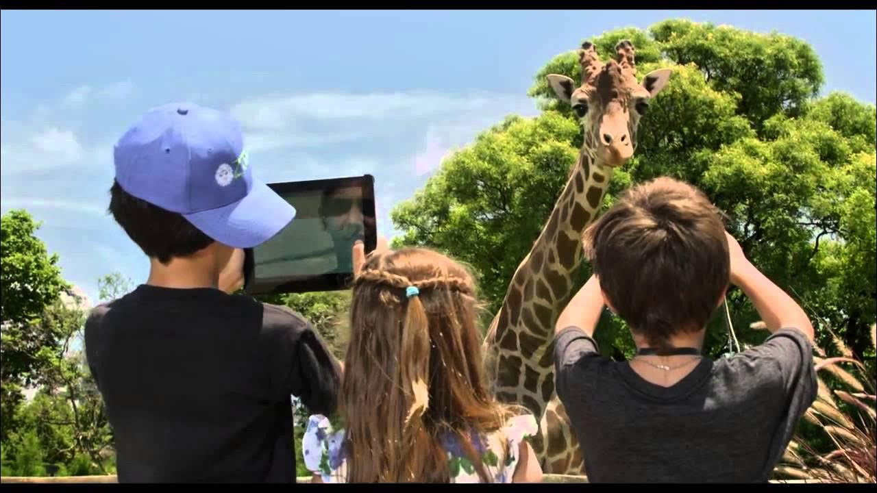 Fotograma de Locos sueltos en el zoo (2015)