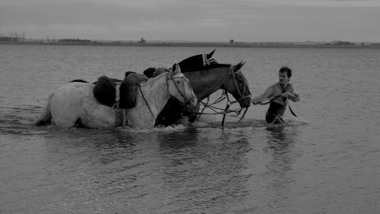 Fotograma de El movimiento (2016)