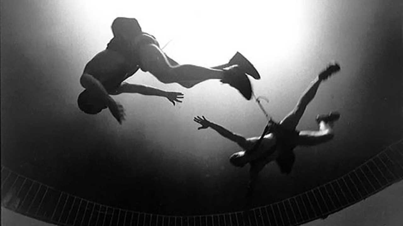 Fotograma de La Organización Negra (ejercicio documental) (2017)