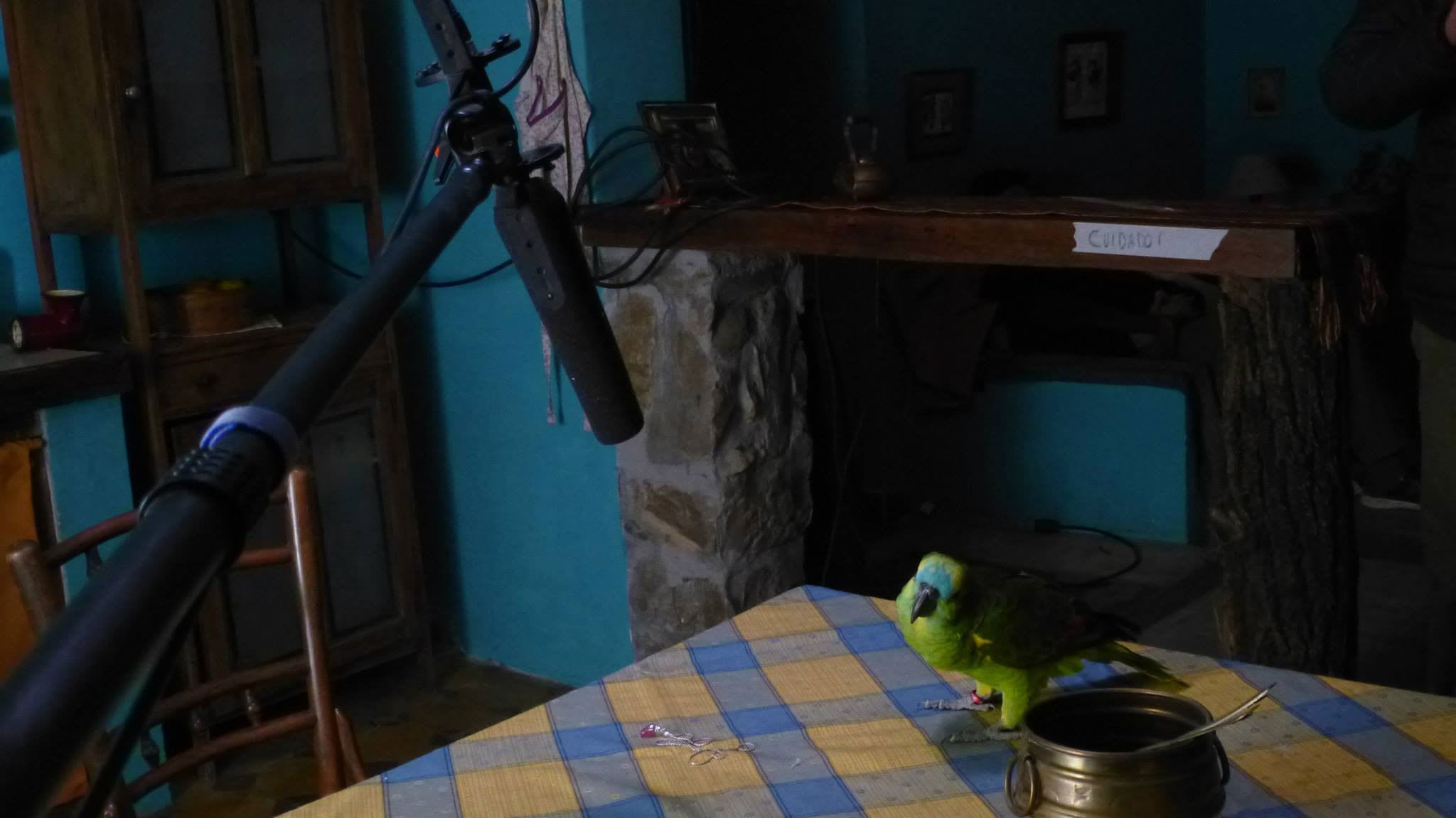 Fotograma de Mi mamá lora (2017)