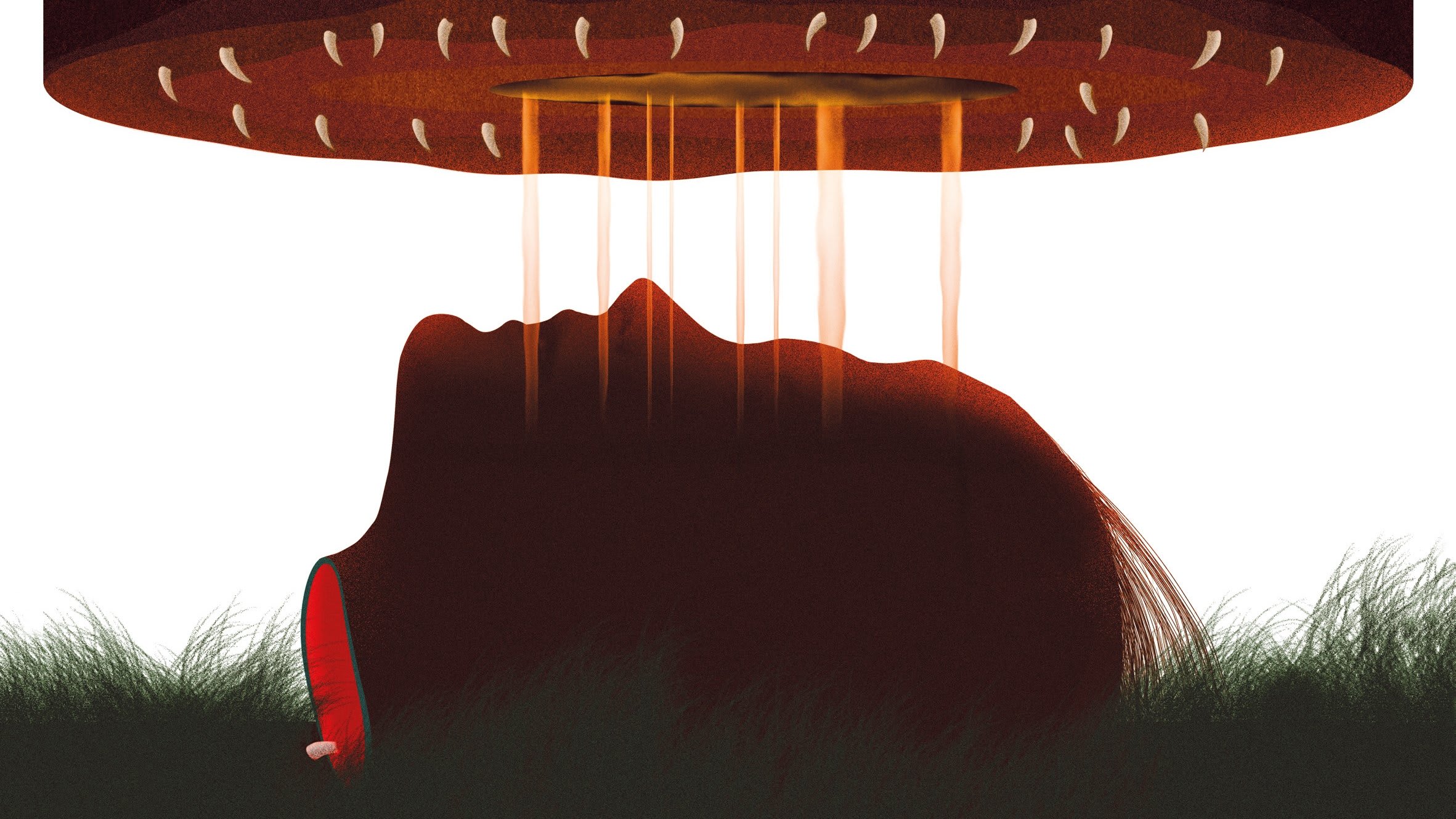 Fotograma de Muere, monstruo, muere (2019)