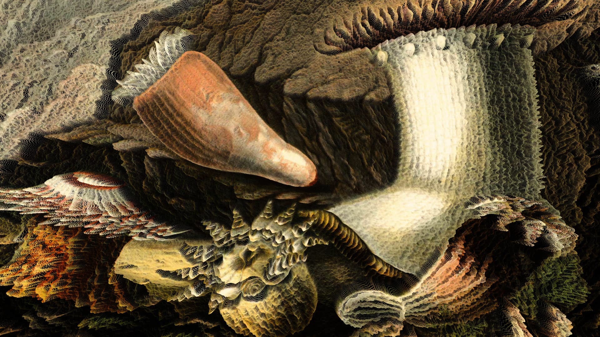 Fotograma de Homenaje a la obra de Philip Henry Gosse (2020)