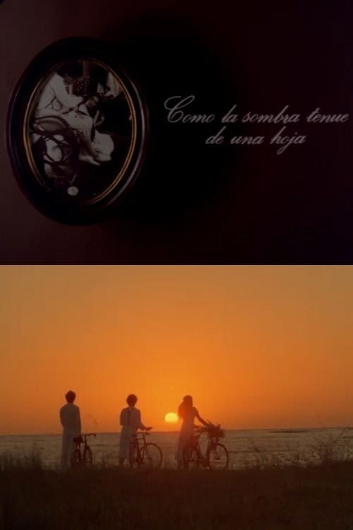 Como la sombra tenue de una hoja