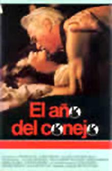 El año del conejo