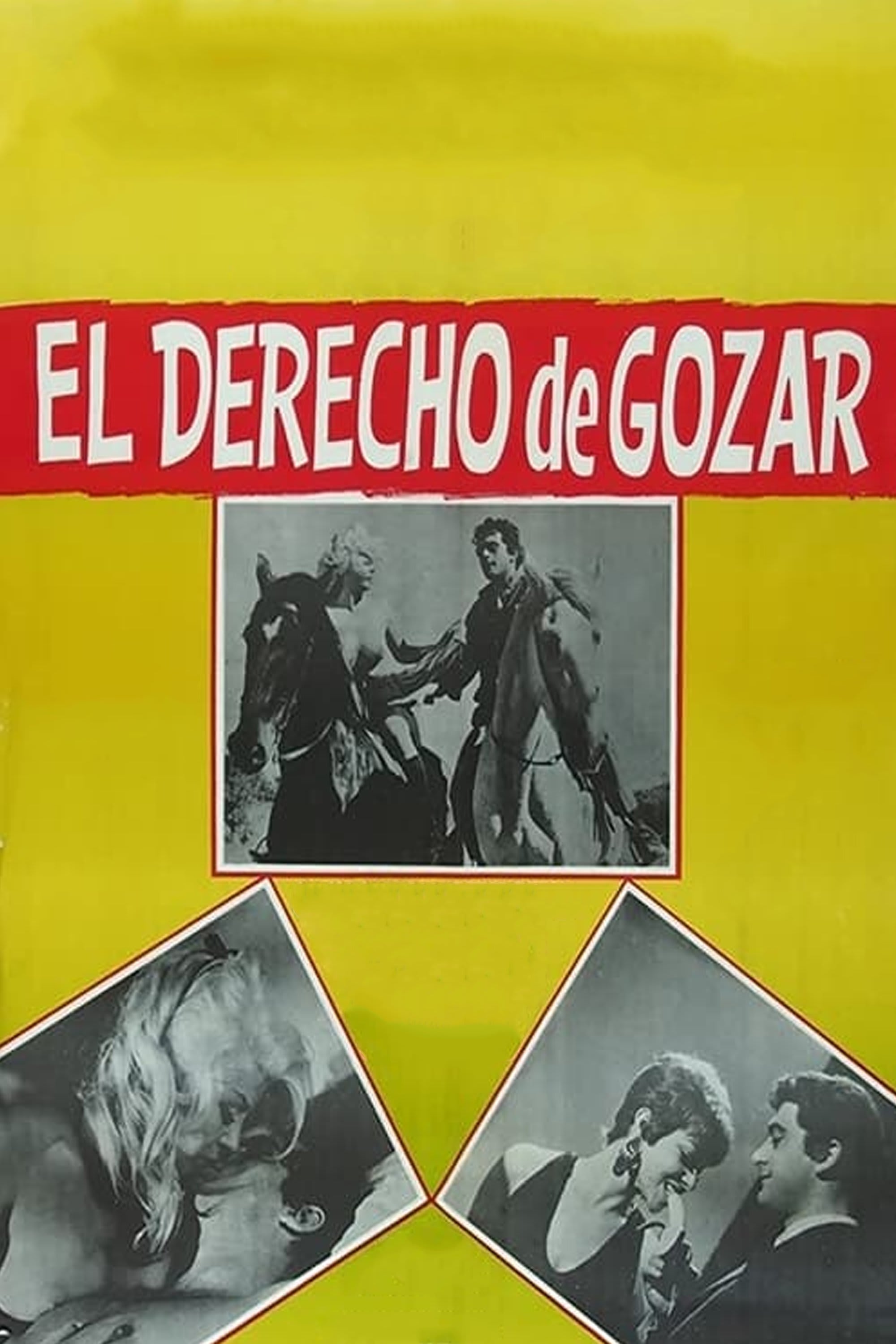 Poster de El derecho de gozar