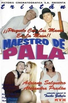 Maestro de pala