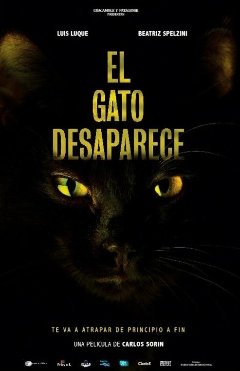 El gato desaparece