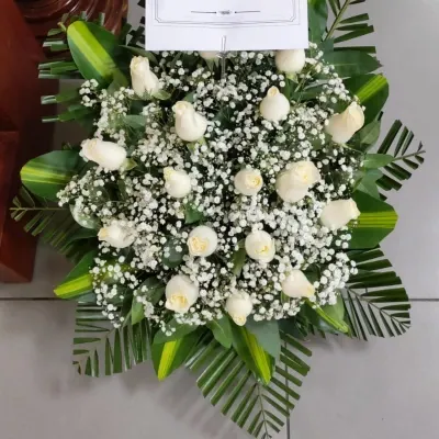 Lágrima Homenaje Sereno — Foto real de entrega