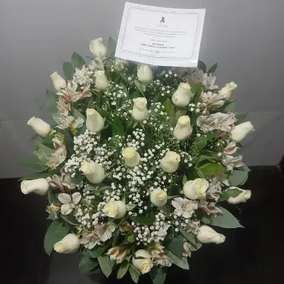 Lágrima Jardín de la Memoria — Foto real de entrega