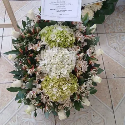 Lágrima Sendero de Paz — Foto real de entrega